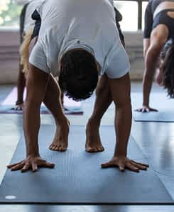 Dushi Yoga Bonaire Manduka yoga products